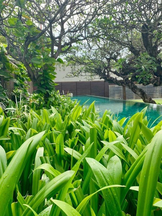 Ziva A Residence Seminyak  Bagian luar foto